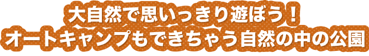 大自然で思いっきり遊ぼう！オートキャンプもできちゃう自然の中の公園