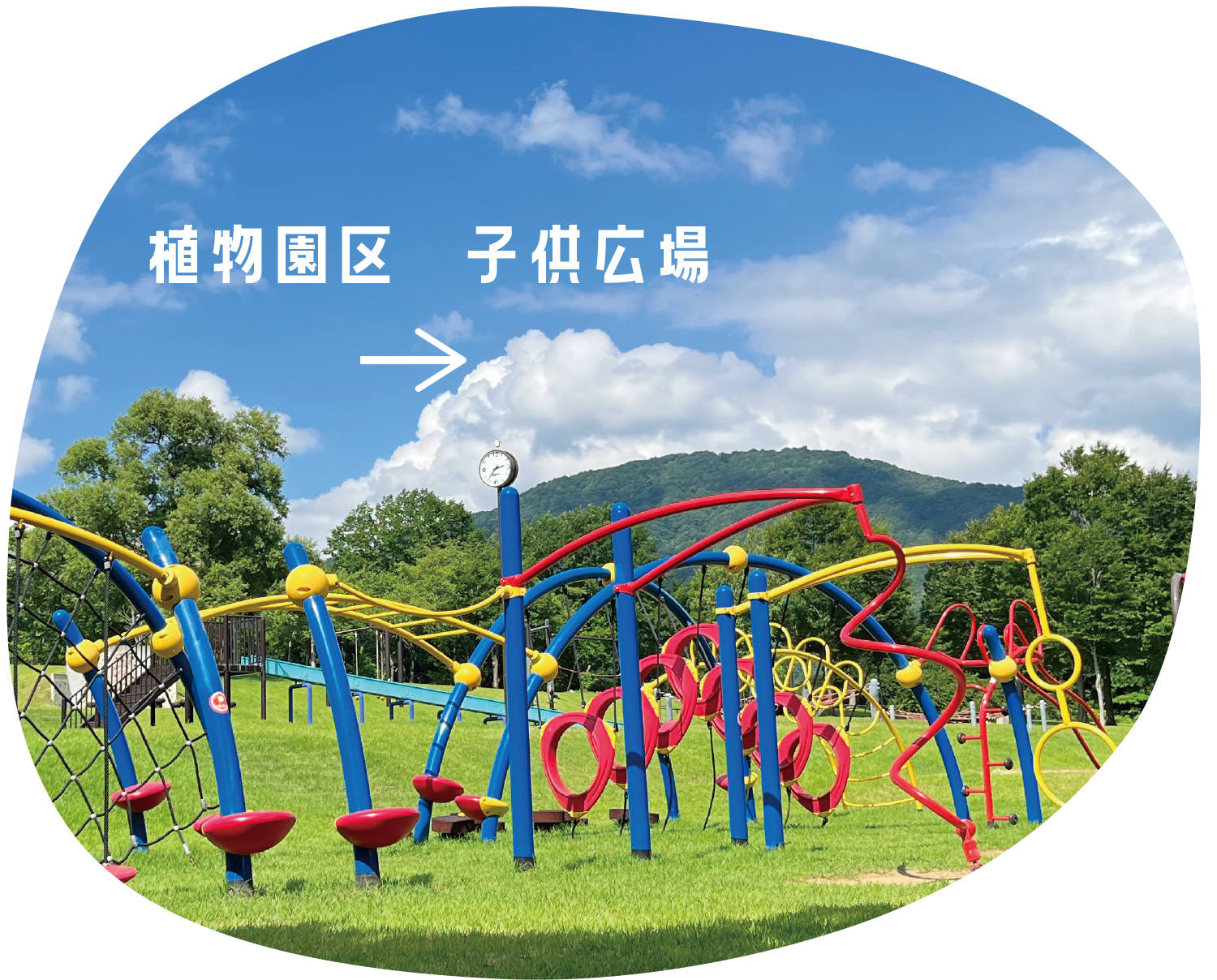 植物区内子供広場
