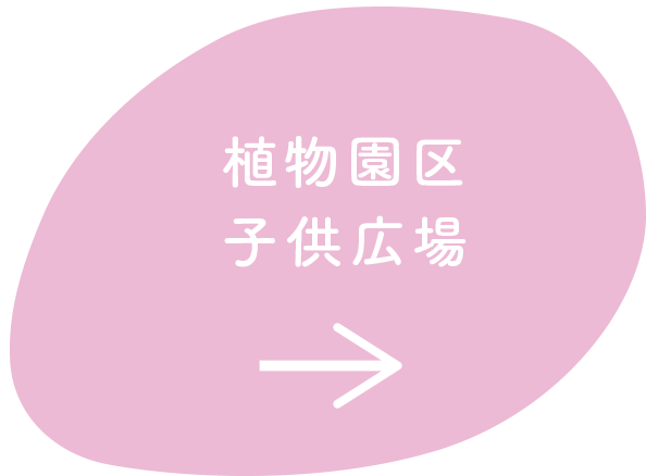 植物園区子供広場