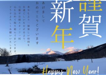 新年あけましておめでとうございます！