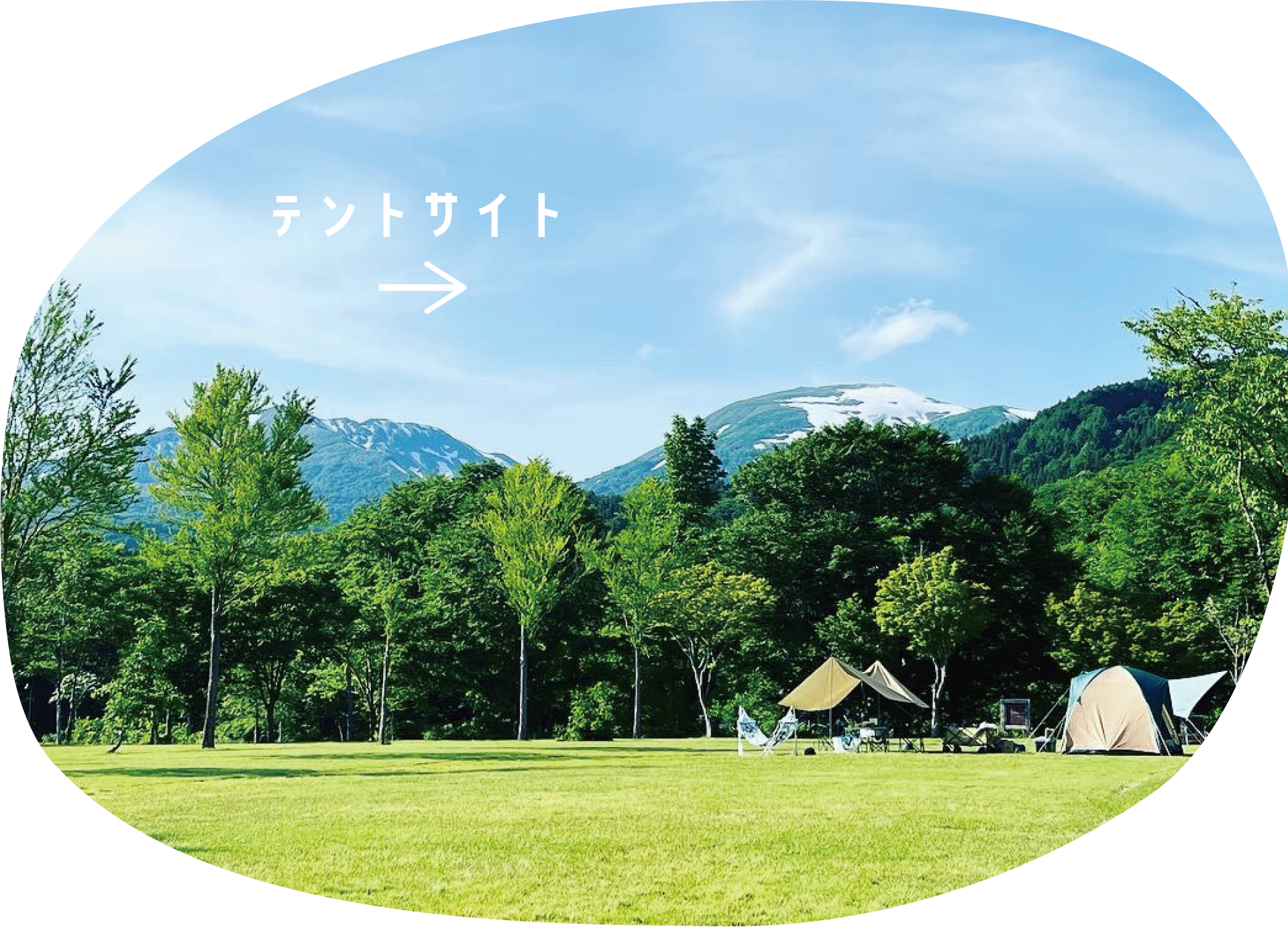 テントサイト