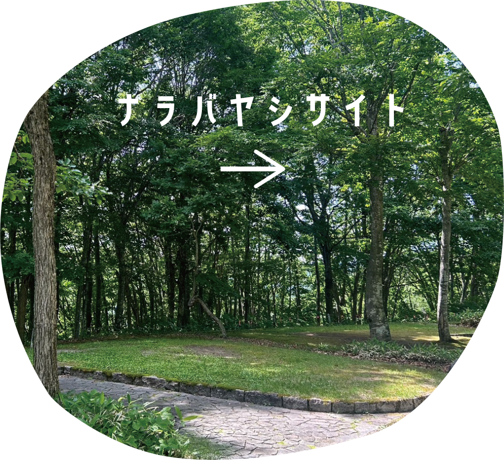 ナラバヤシサイト