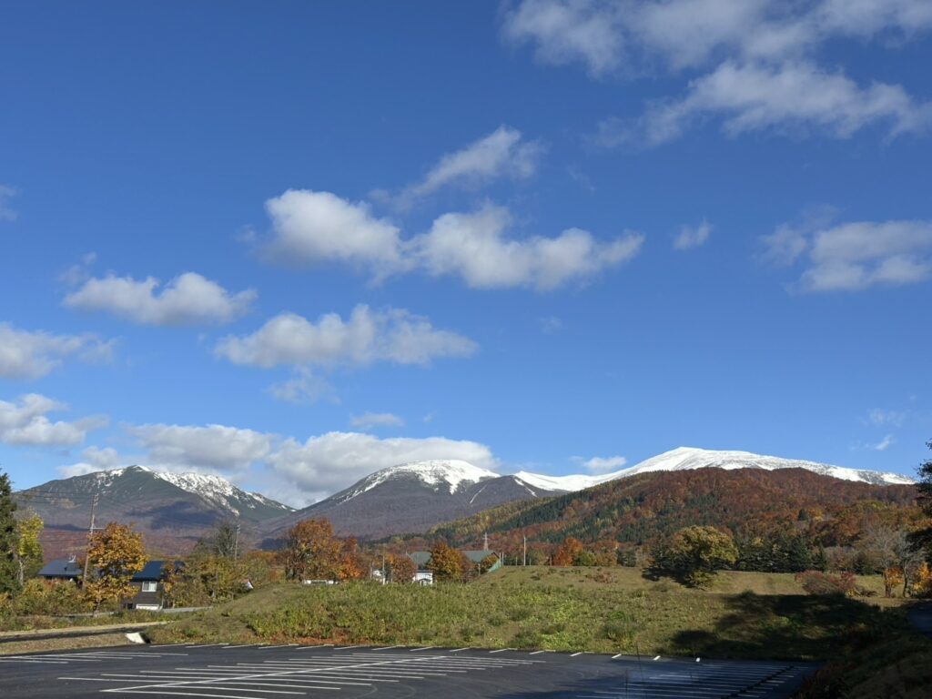 画像に alt 属性が指定されていません。ファイル名: S__17203210_0-1024x768.jpg