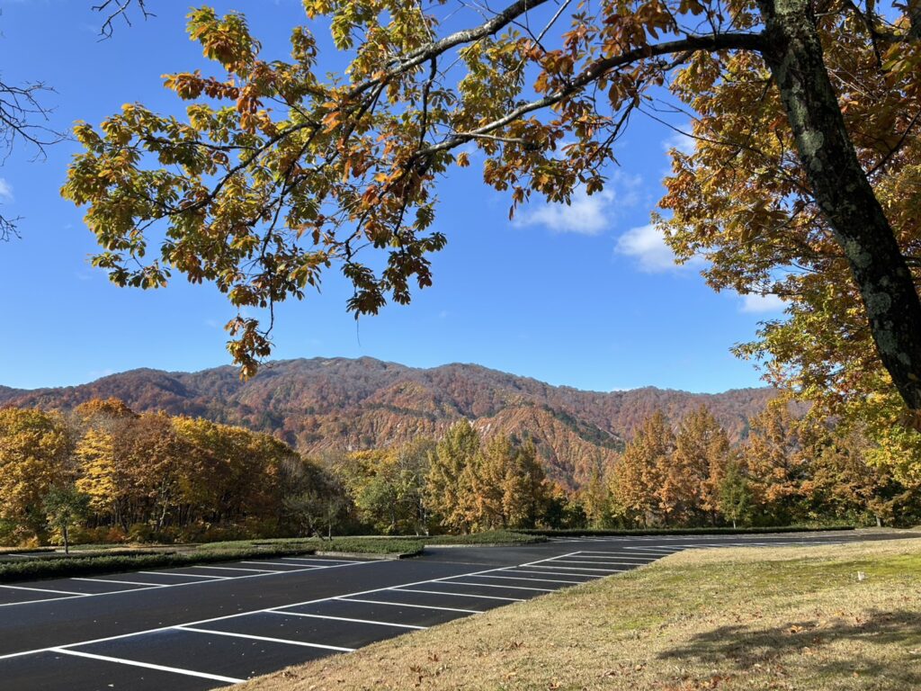 画像に alt 属性が指定されていません。ファイル名: S__17203213-1-1024x768.jpg