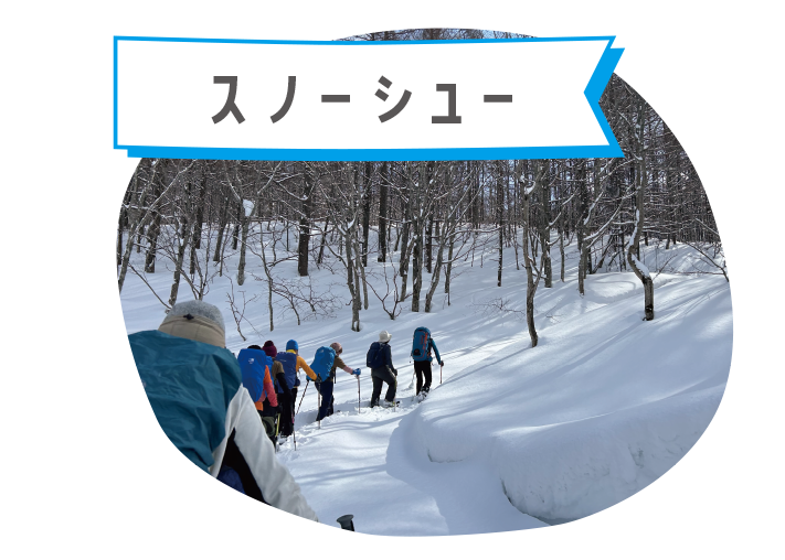 スノーシュー
