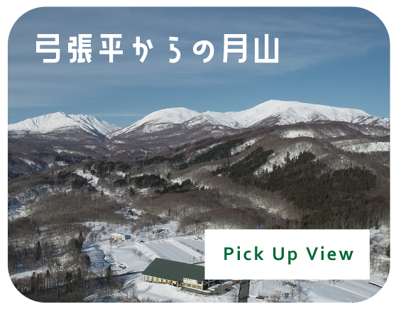 弓張平からの月山