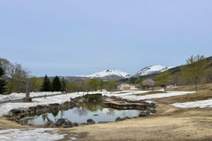 4/23（木）弓張平公園の様子🌸⛄