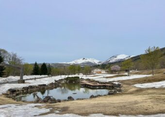 4/23（木）弓張平公園の様子🌸⛄