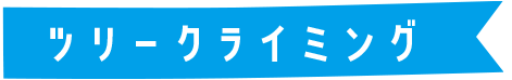 ツリークライミング